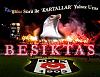 eaglechick1903ait Kullanıcı Resmi (Avatar)