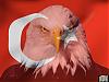 pckurdu55ait Kullanıcı Resmi (Avatar)