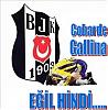 berkebey2003ait Kullanıcı Resmi (Avatar)