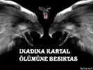 images  BN