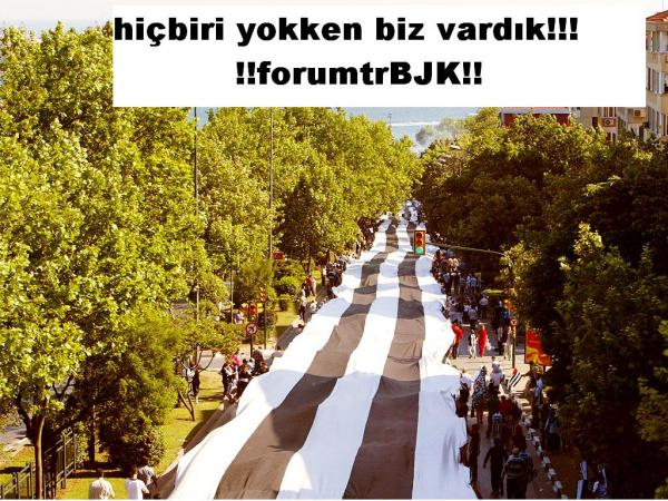bjk1310243vi