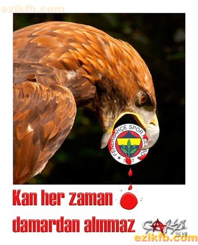 ezikfb352