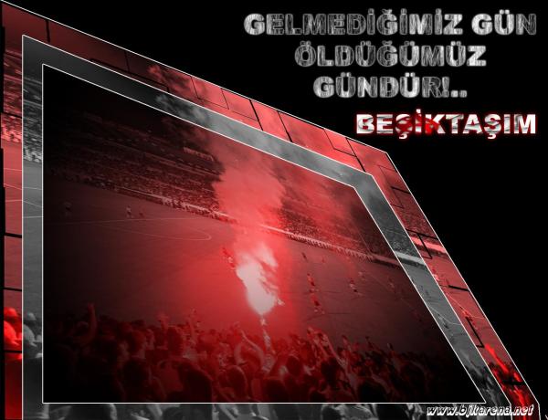 gelmediimiz gn ldmz gndr!...