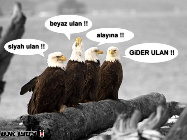 giderdh0lv3oj4ru0