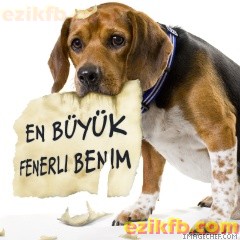 9794ezikfb273
