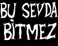 busevdabitmezoo7