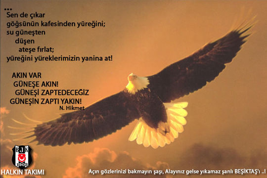 beiktam benim