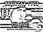 Car$I