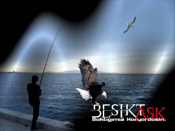 BjK