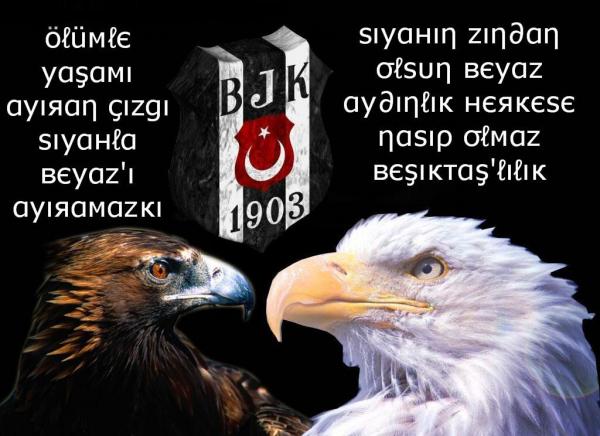 BjK
