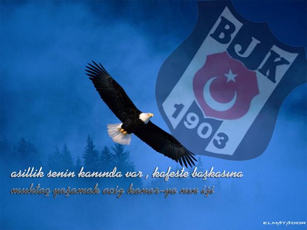 kartal16zz