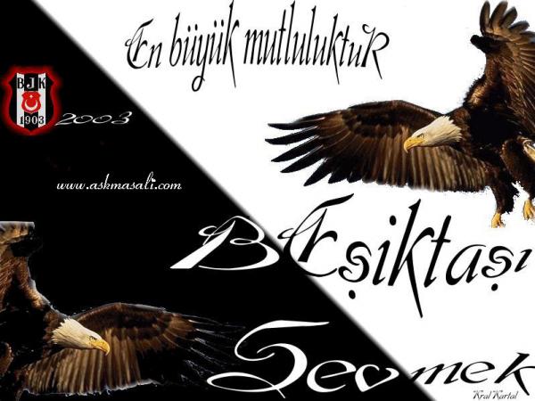 besiktasresimleri4