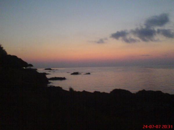 DSC00798