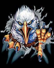 Eagle Breakthrough