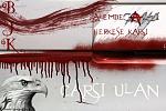 user44672 pic416 1217342393 thumb