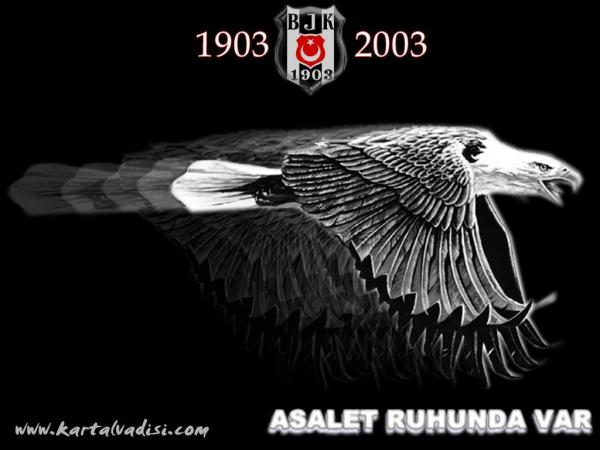 bjk