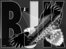 BJK