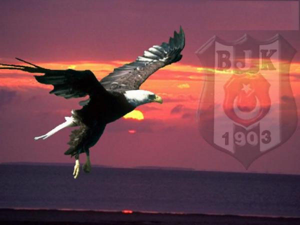 besiktas21