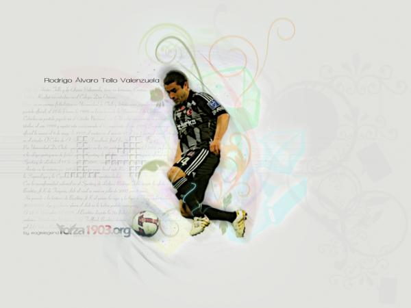 RODRIGOTELLOSTYLEWALL