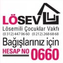 lsev