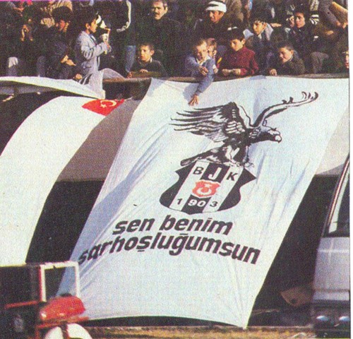 yl89(doum gnm)