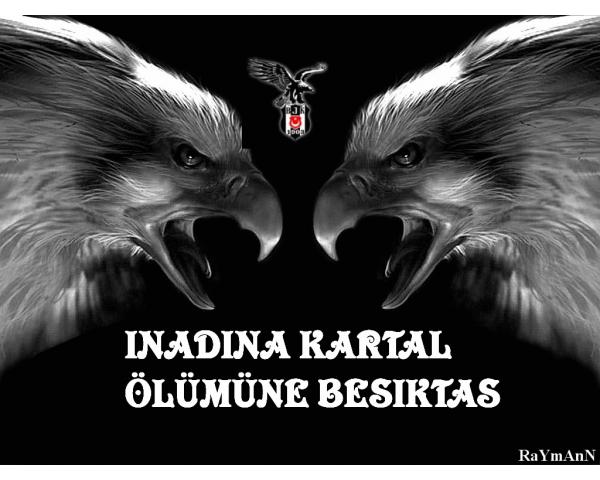 fb74a1e2ea96aa3f0f28be8f95d6561a 400