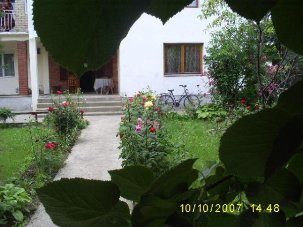 CxNvwr343457 02