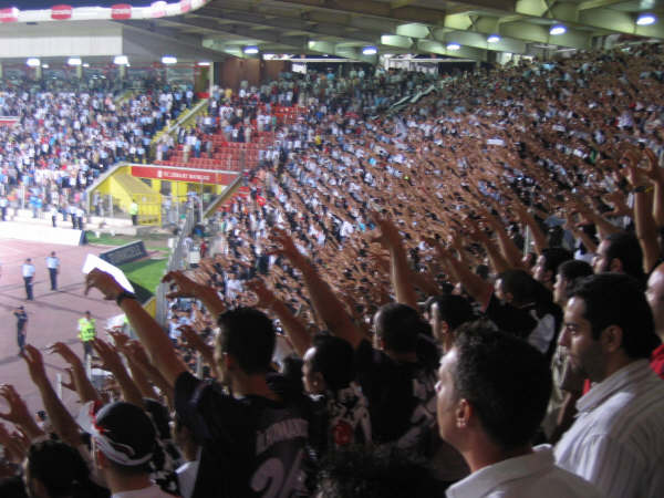 ARI ANKARA