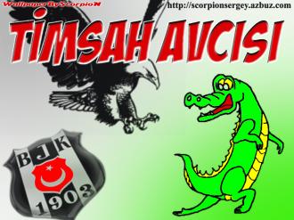 timsah avcs...kartal.