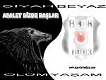 SYAH - BEYAZ