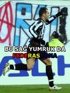 images23