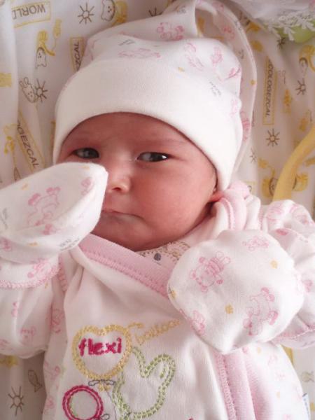 ho geldin eyll bebek aramza