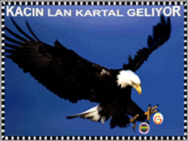 kacin kan kartal geliyor